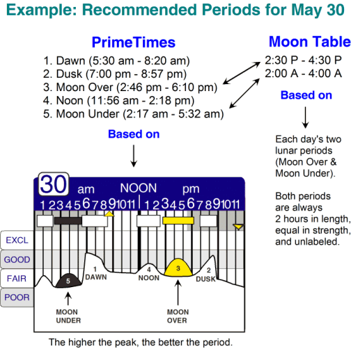 Solunar Feeding Chart