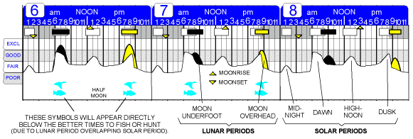 best periods times for fishing and hunting moon phase solunar